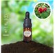 Essential Oil of Raspberry