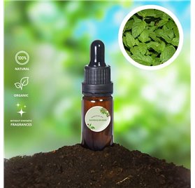 Aceite Esencial de Sándalo