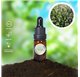 Aceite Esencial de Tomillo
