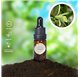 Essential Oil of Vanilla