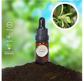 Essential Oil of Vanilla