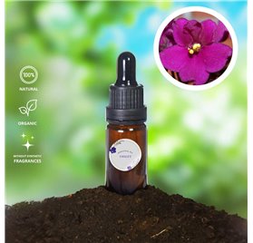 Óleo Essencial Violeta