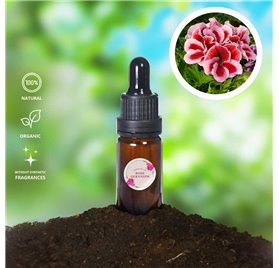 Huile Essentielle de Géranium Rose 23337