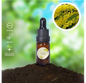 Óleo Essencial Mimosa