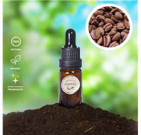 Olio Essenziale di Caffè 46674/200