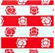 Papier Cadeaux 70cm Red Stripe Gift