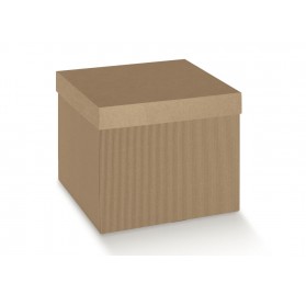 F/CECON 200X200X190 ON.AVANA