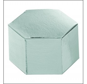 ESAGONO 60X30 ARGEN.LARI